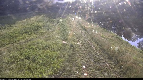 Cell 4 to Basin_24-06-14_07-45-50-36