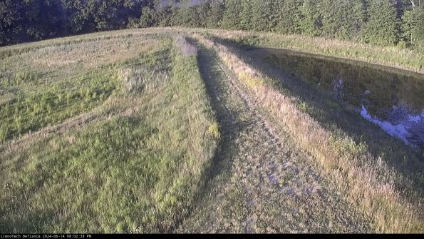 Cell 4 to Basin_24-06-14_20-02-39-35