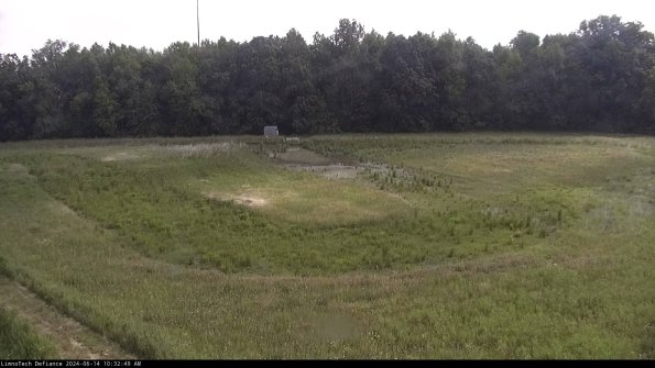 Cell 4_24-06-14_10-32-50-33