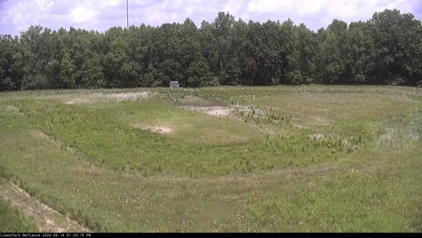 Cell 4_24-06-14_13-20-17-30