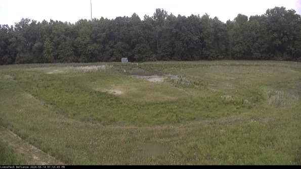 Cell 4_24-06-14_13-53-46-35