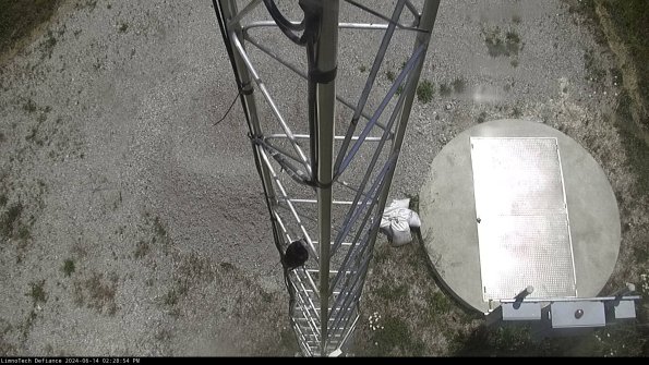 Hatch_24-06-14_14-28-55-34