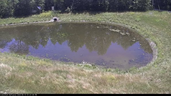 Basin Right_24-06-15_13-21-41-33