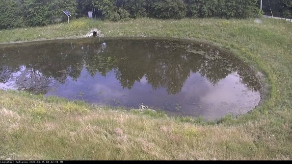 Basin Right_24-06-15_16-42-39-34