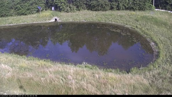 Basin Right_24-06-15_17-49-37-35