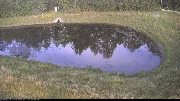 Basin Right_24-06-15_20-03-36-36