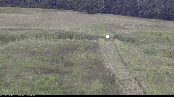 Cell 1 to 2_24-06-15_08-51-26-33