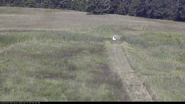 Cell 1 to 2_24-06-15_09-58-25-34