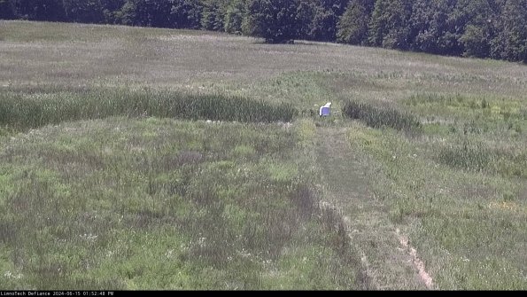 Cell 1 to 2_24-06-15_13-52-49-34