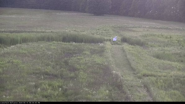 Cell 1 to 2_24-06-15_20-34-44-37