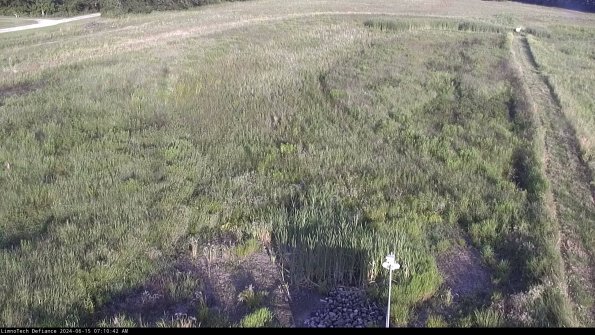 Cell 1_24-06-15_07-10-43-32