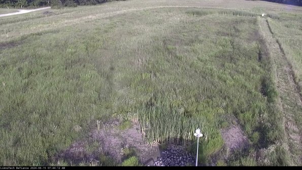 Cell 1_24-06-15_07-44-13-34