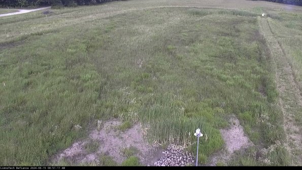 Cell 1_24-06-15_08-51-12-35