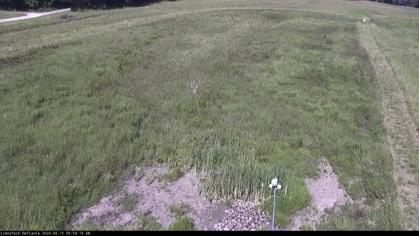 Cell 1_24-06-15_09-58-11-36