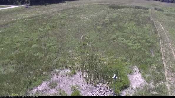 Cell 1_24-06-15_13-52-35-33