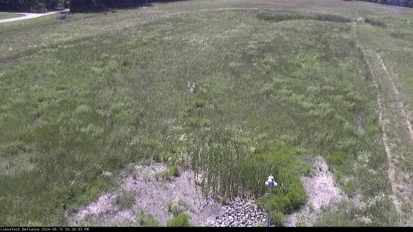 Cell 1_24-06-15_14-26-04-34