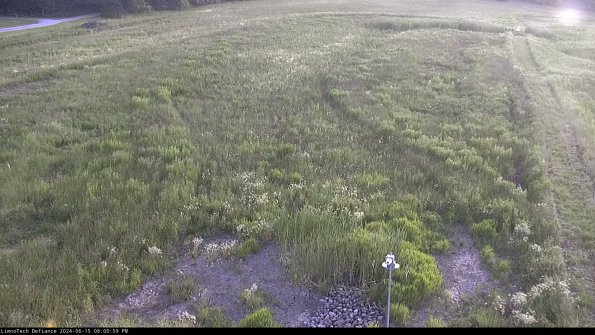 Cell 1_24-06-15_20-01-00-34