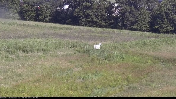 Cell 2 to 3_24-06-15_09-58-51-50