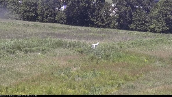 Cell 2 to 3_24-06-15_13-19-46-45