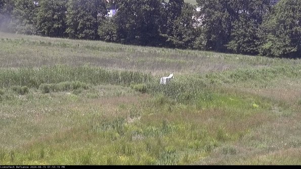 Cell 2 to 3_24-06-15_13-53-15-53