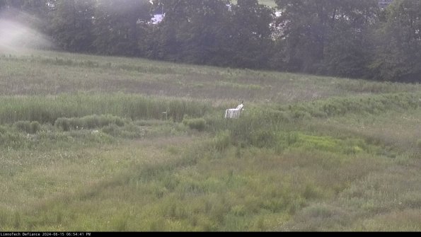 Cell 2 to 3_24-06-15_18-54-41-47