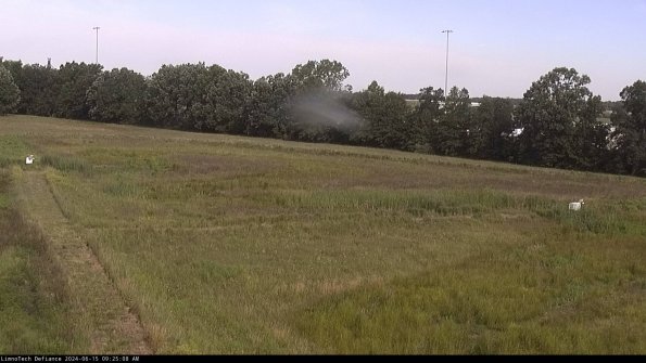 Cell 2_24-06-15_09-25-09-36