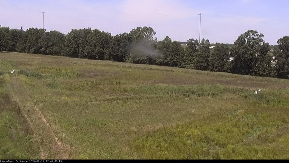 Cell 2_24-06-15_12-46-03-41