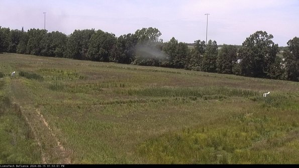 Cell 2_24-06-15_13-53-02-42