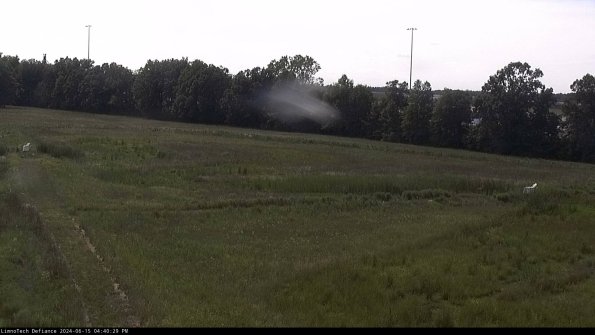 Cell 2_24-06-15_16-40-30-35