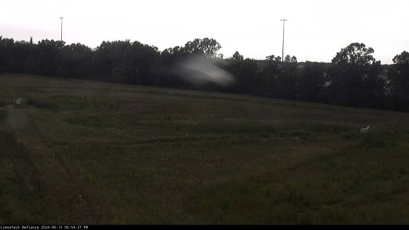 Cell 2_24-06-15_18-54-28-39