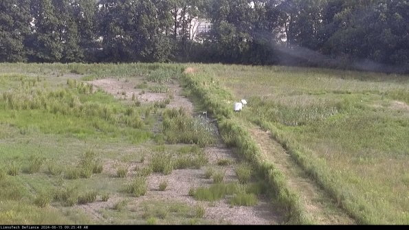 Cell 3 to 4_24-06-15_09-25-50-34