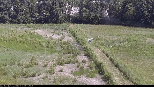 Cell 3 to 4_24-06-15_11-06-19-33