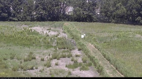 Cell 3 to 4_24-06-15_13-20-15-34