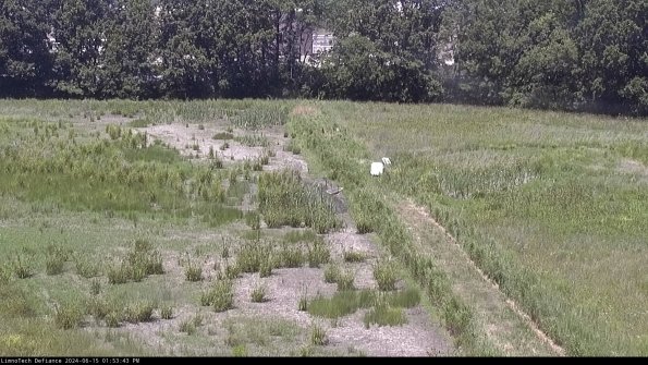 Cell 3 to 4_24-06-15_13-53-44-33