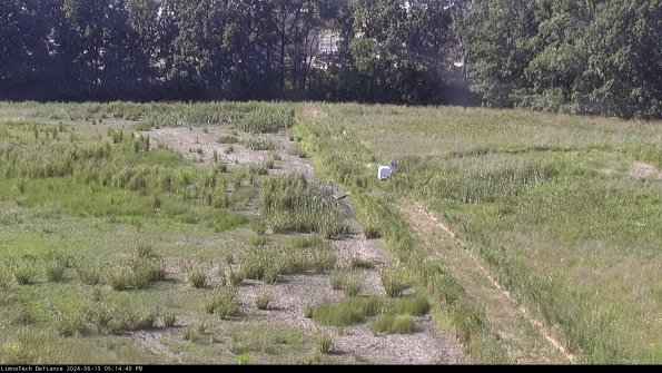 Cell 3 to 4_24-06-15_17-14-41-34