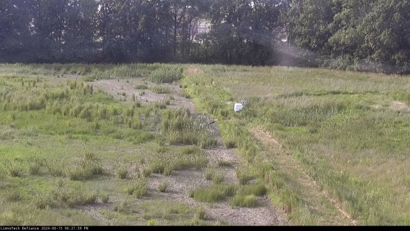 Cell 3 to 4_24-06-15_18-21-40-35