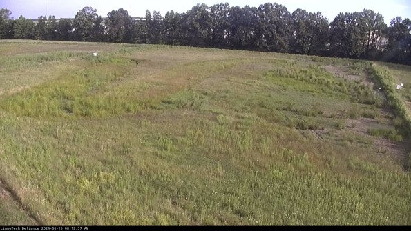 Cell 3_24-06-15_08-18-38-35