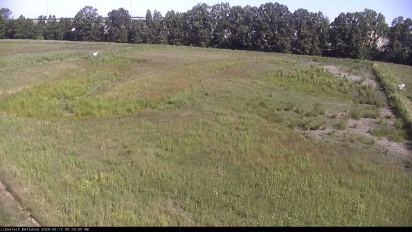 Cell 3_24-06-15_09-59-06-35