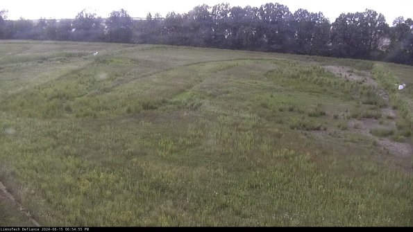 Cell 3_24-06-15_18-54-56-35