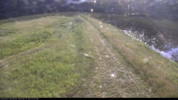 Cell 4 to Basin_24-06-15_08-19-36-37