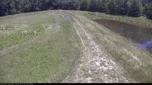 Cell 4 to Basin_24-06-15_13-20-59-35