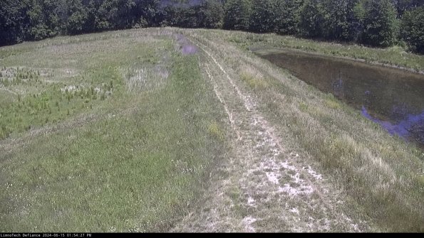 Cell 4 to Basin_24-06-15_13-54-28-34