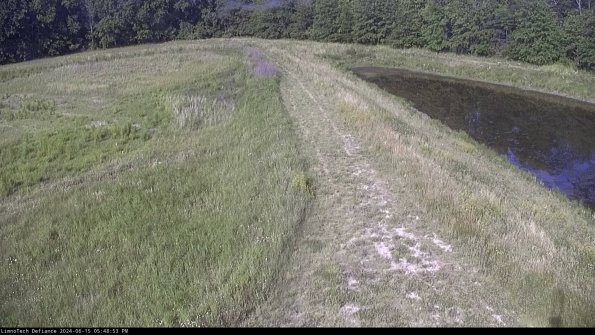 Cell 4 to Basin_24-06-15_17-48-54-37