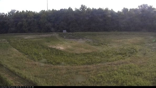 Cell 4_24-06-15_07-45-36-32