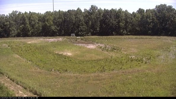 Cell 4_24-06-15_11-40-02-33