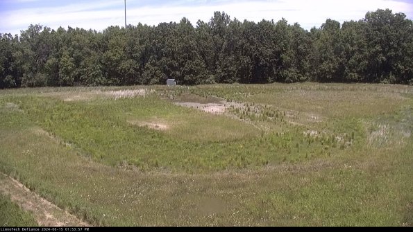 Cell 4_24-06-15_13-53-58-34