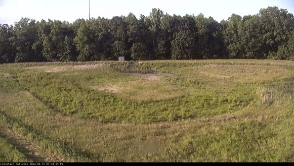 Cell 4_24-06-15_19-28-54-37