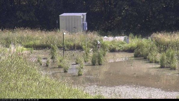 Outlet_24-06-15_09-59-49-36