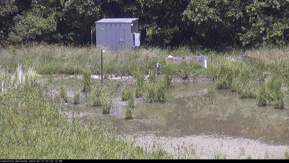 Outlet_24-06-15_13-54-13-32