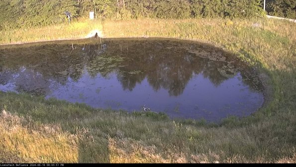 Basin Right_24-06-16_20-03-52-36